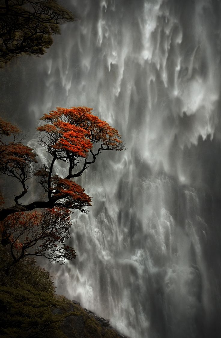 Devil&rsquos Punchbowl Falls, New Zealand