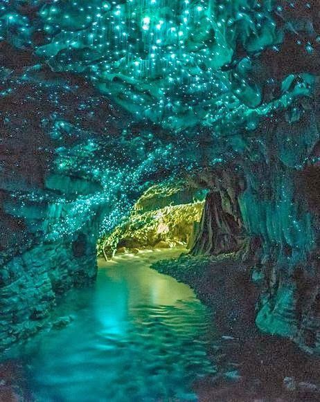 Glowworm Caves New Zealand