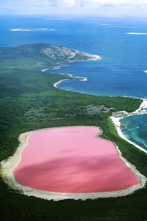 Hiller or Pink Lake, Australia