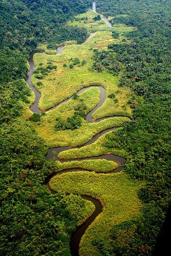 Meandering River Congo, Democratic Republic of Congo