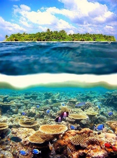 Paradise of Islands &ndash Maldives