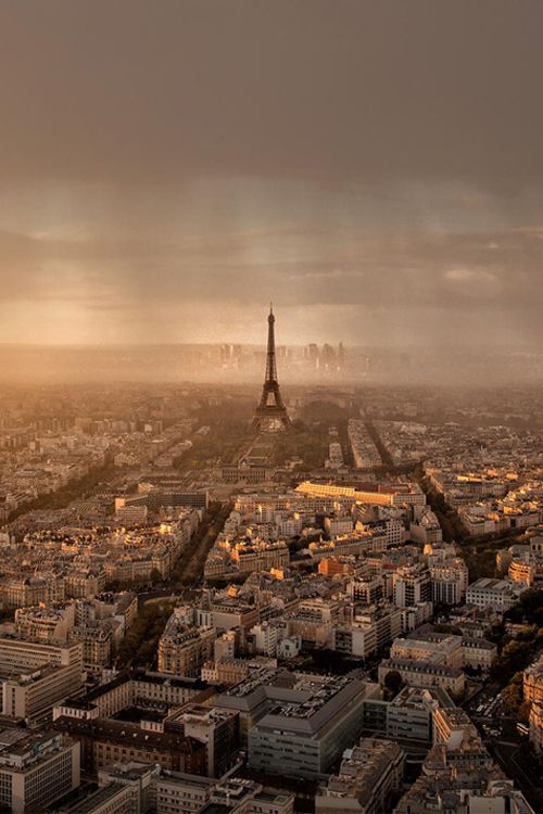 Parisian Cityscape