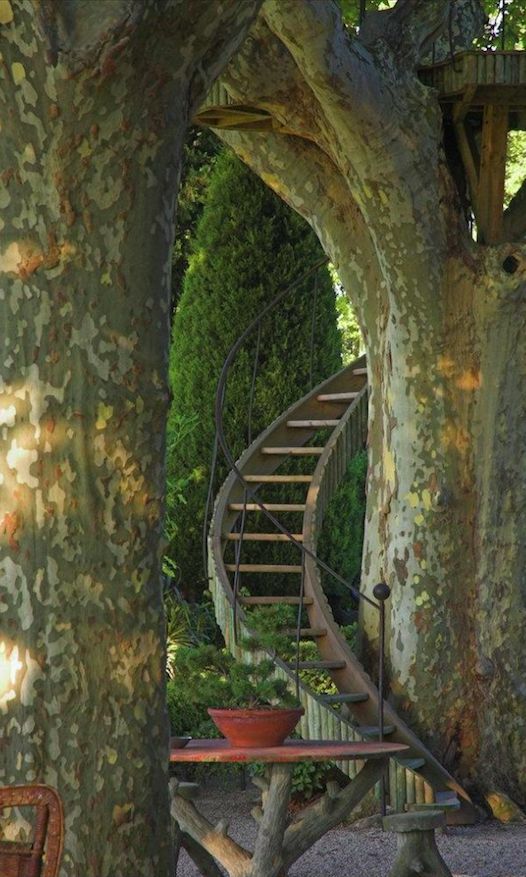Stairway to the trees in Provence, France