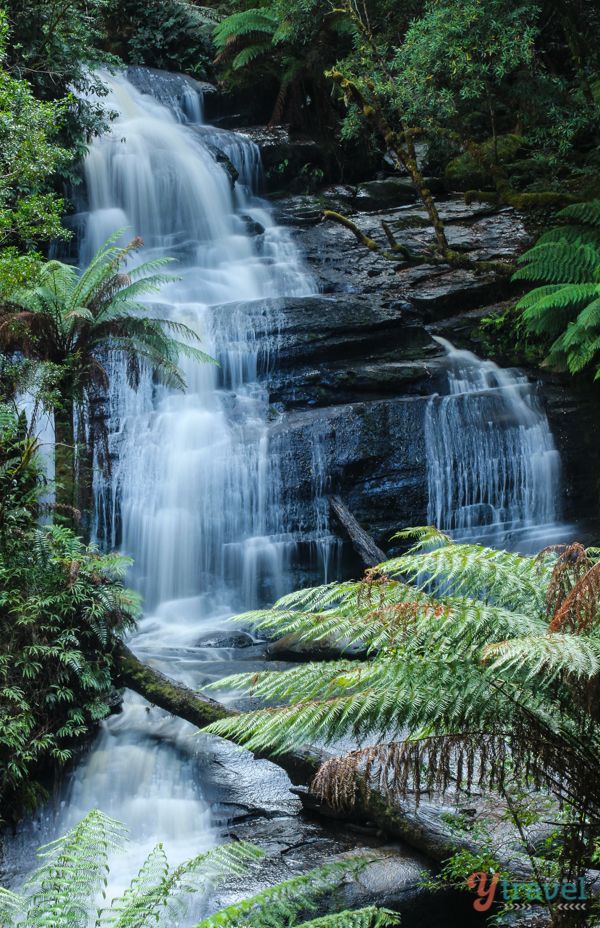 Triplet Falls, Otways National Park