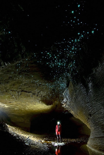 glow-worm-cave