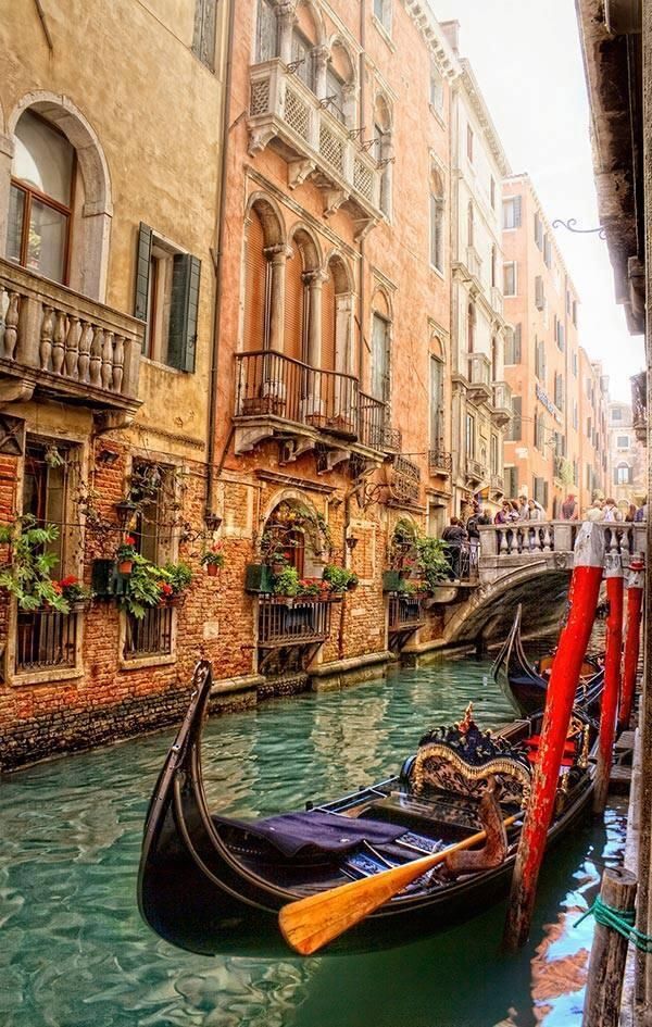 An amazing view of Venice.