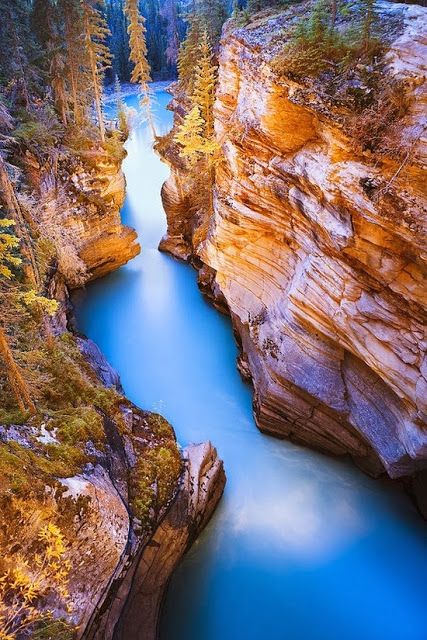 Athabasca Falls, Jasper, Alberta,
