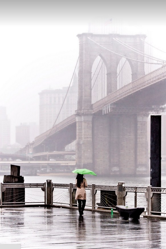 Brooklyn-Bridge-Architecture-Brooklyn-New-York-United-States-14