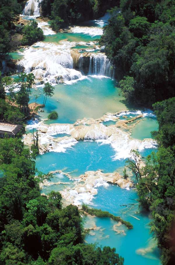 Cascadas de Agua Azul , Palenque