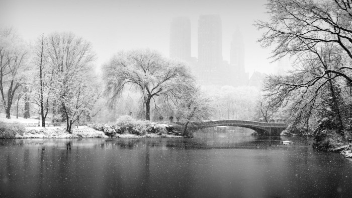 Central Park New York City, USA 5