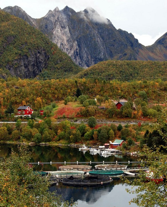 Travel Norway&rsquos Scandinavian Fishing Village