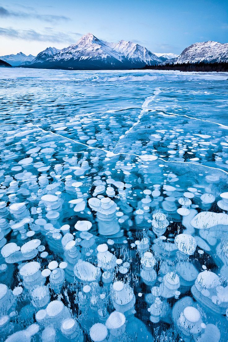 Flammable ice bubbles frozen bubbles of methane, trapped beneath Alberta&rsquos Lake Abraham.