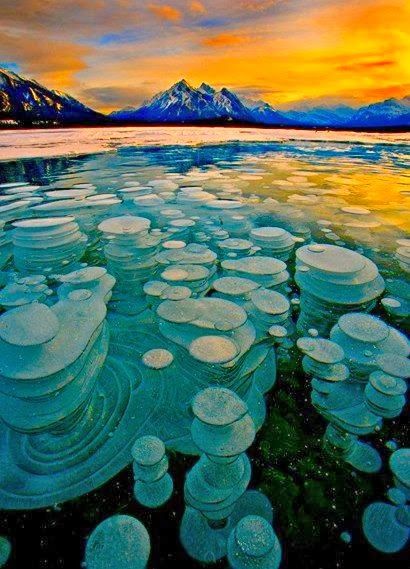 Frozen Bubbles, Abraham Lake, Alberta,