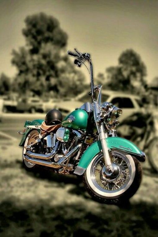 harley davidson motorcycle for sale