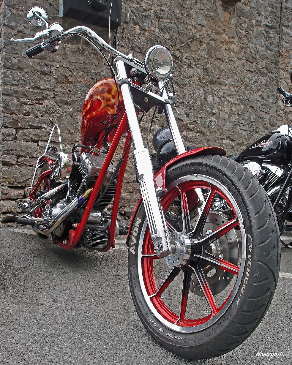 Harley Davidson Motorcycles -Style Your Ride - The WoW Style