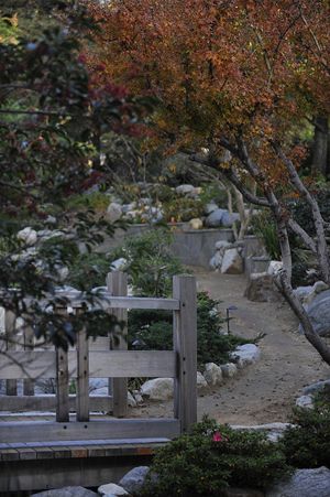Japanese Garden - Little Tokyo, Los Angeles