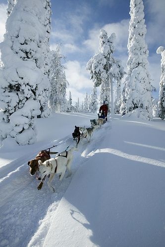 Lapland, Finland.