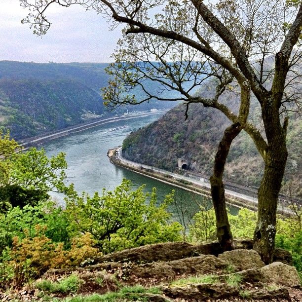 Loreley rock in the Upper Middle Rhine Vally (UNESCO World Heritage)