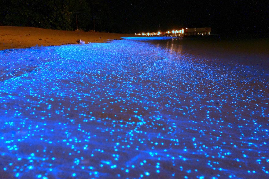 Maldives-Beach-That-Looks-Like-Starry-Night-Sky