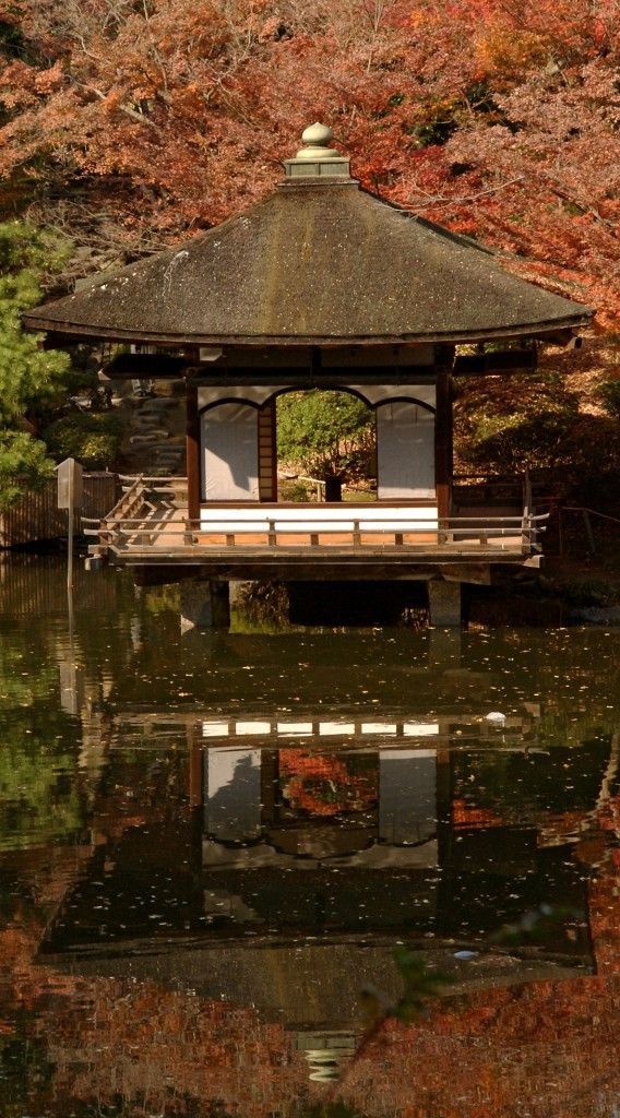 Nishinomaru Garden in  Japan