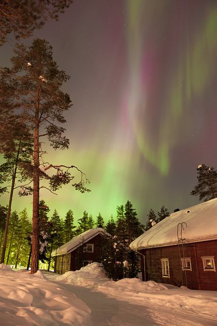 Northern Lights - Rovaniemi, Lapland, Finland