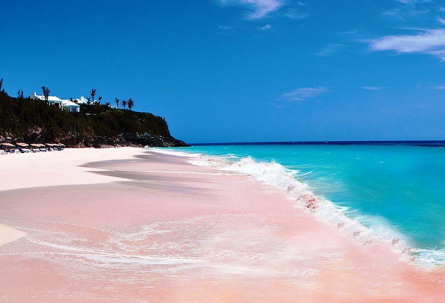 Pink-Sand-Beach-Bahamas-1
