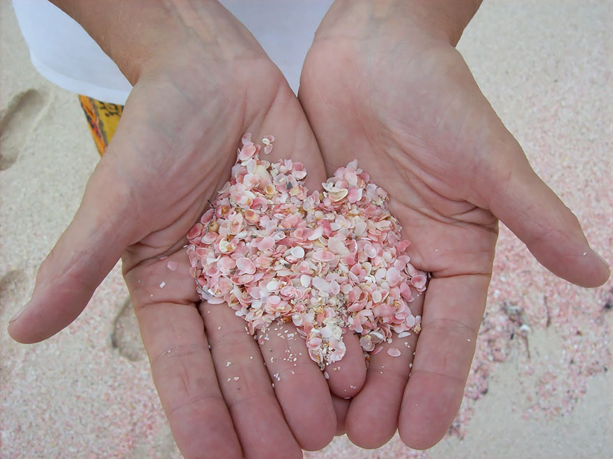 Pink-Sand-Beach-Bahamas-2