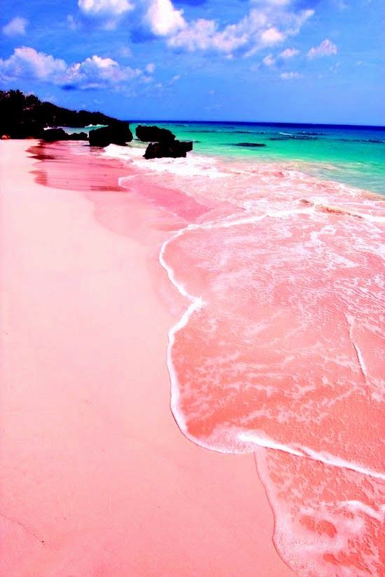 Pink-Sand-Beach-Bahamas-4