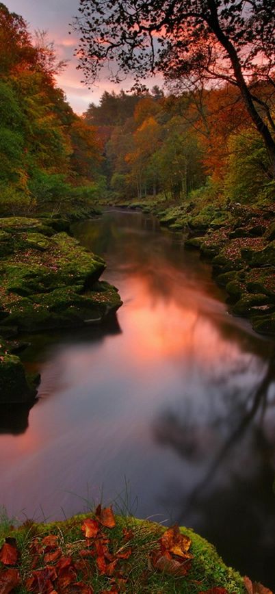 River Wharfe at Bolton Abbey in the Yorkshire Dales, United Kingdom