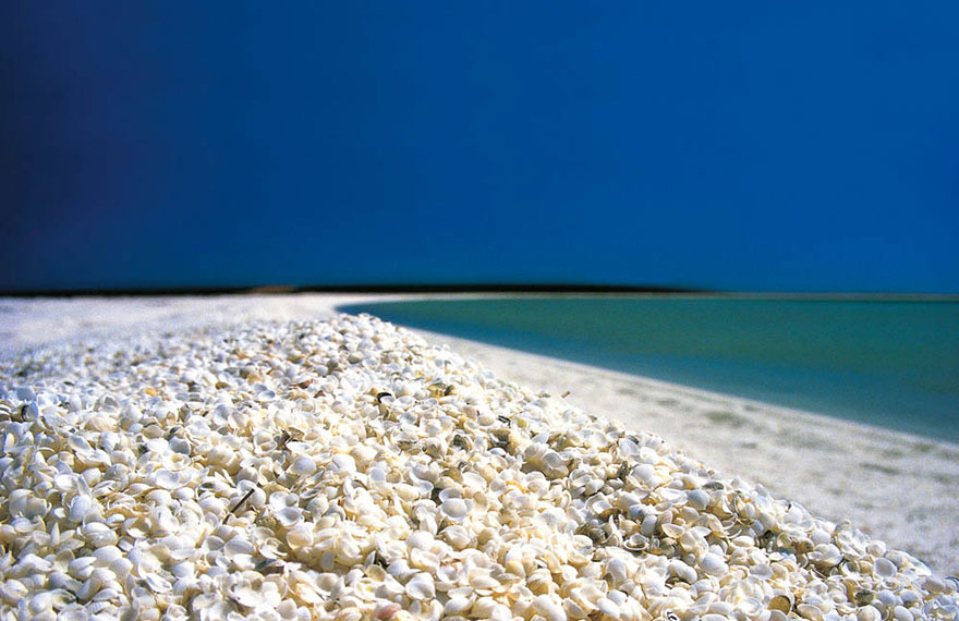 Shell-Beach-Shark-Bay-Australia