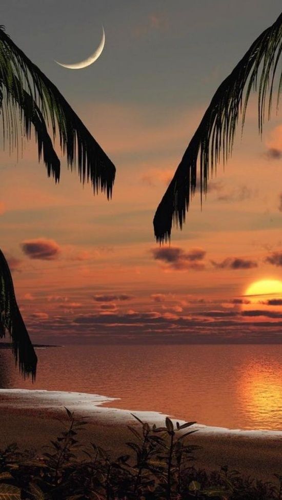 Sunset, Beach, Cozumel