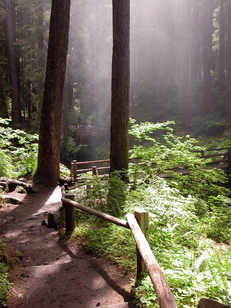 The Sol Duc Valley 3