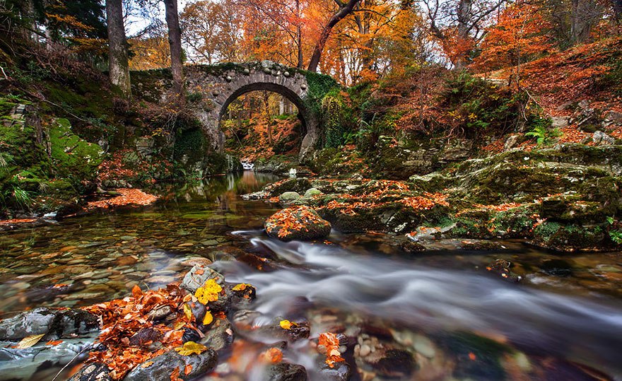 Tollymore, Uk