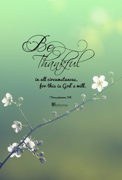 100 Best Thanks Giving Quotes – The WoW Style