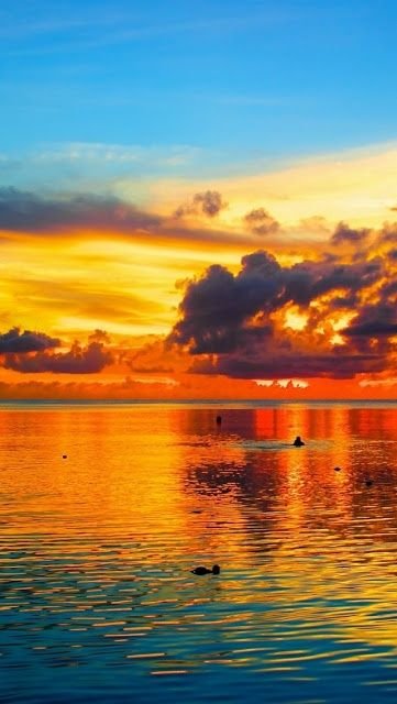 56 Beautiful Sunrises And Sunsets Photography – The WoW Style