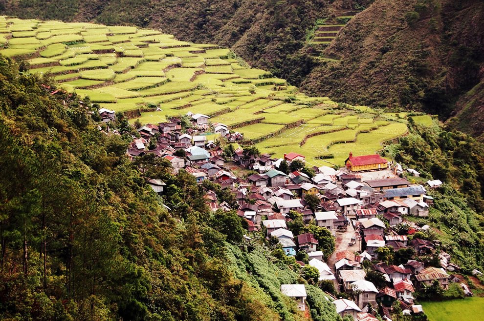 Bay-yo Rice Terraces, Bontoc, Mt. Province