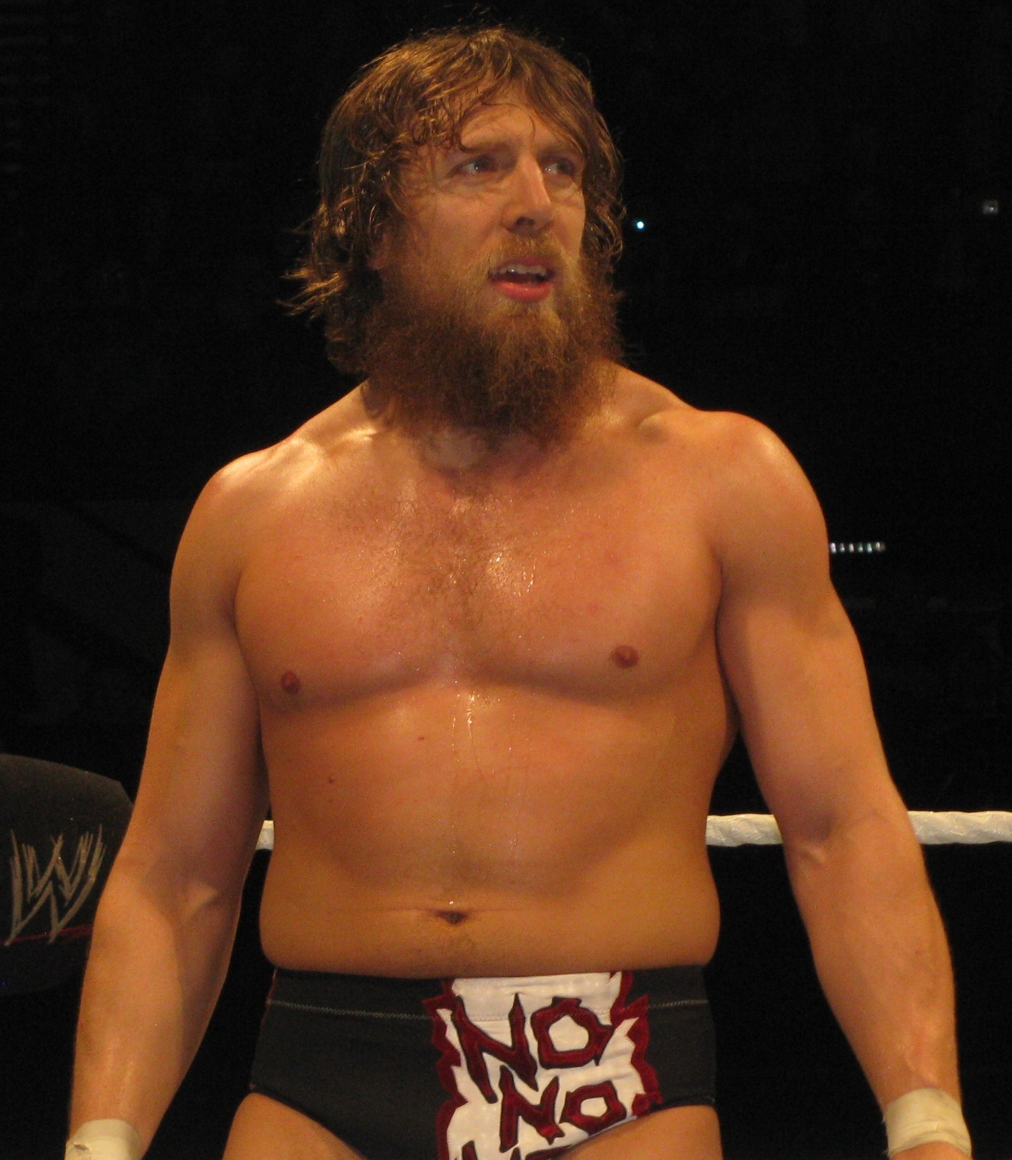 Wwe Champion Daniel Bryan Pictures The Wow Style