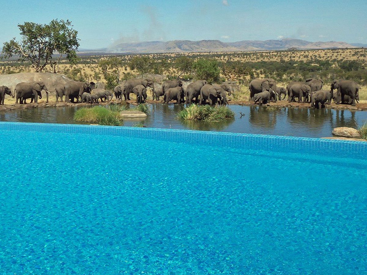 Four Seasons Safari Lodge Pool