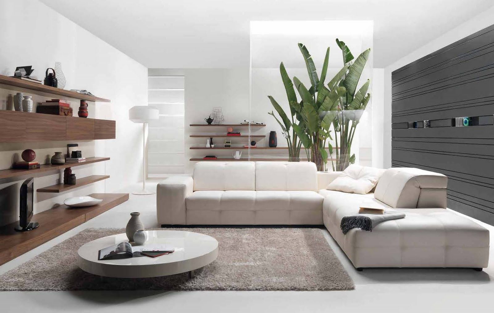 living modern decor contemporary