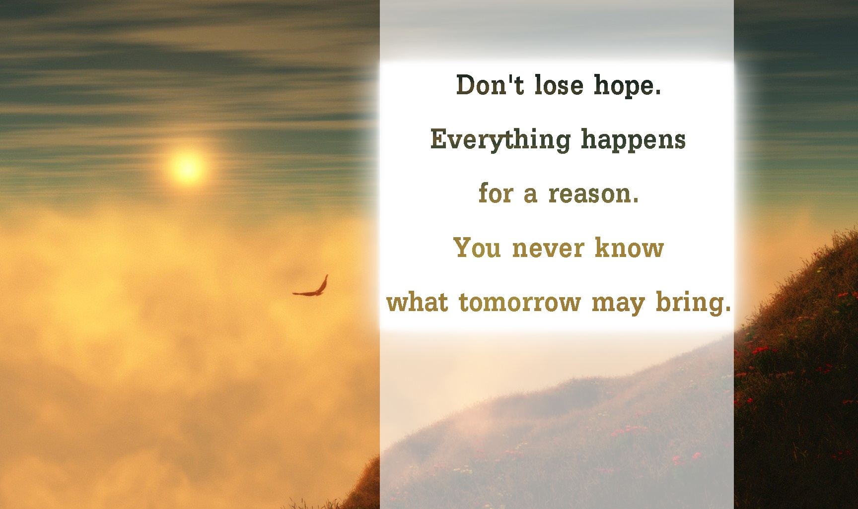hope reason never lose know everything tomorrow bring quotes unknown inspirational don happens future positive dont emilysquotes wow