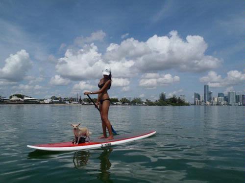 lg_Paddleboarding-in-Miami-FL-03302011