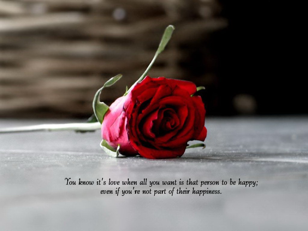 50 Best Rose Quotes To Show Your Love – The WoW Style