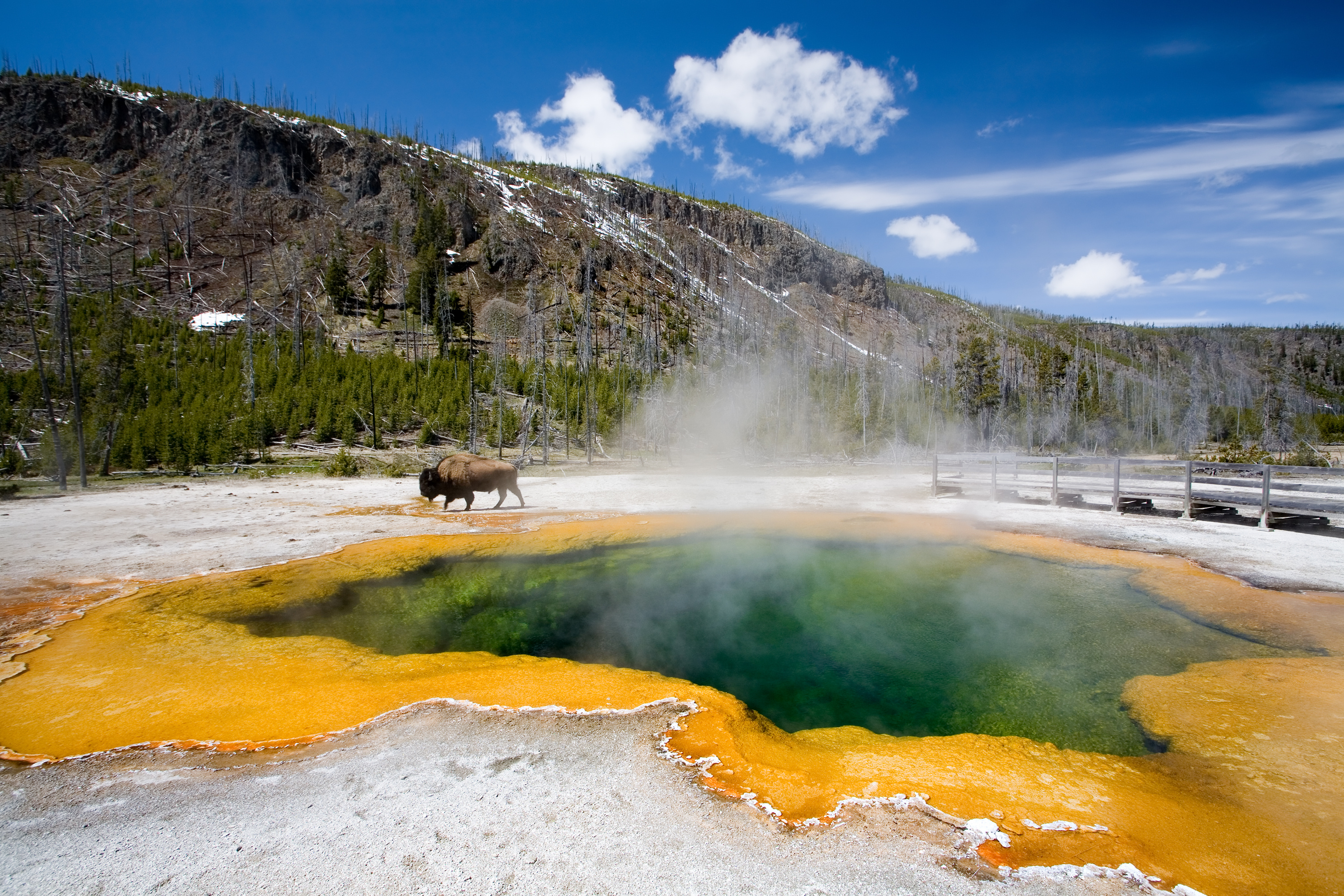 yellowstone national park information