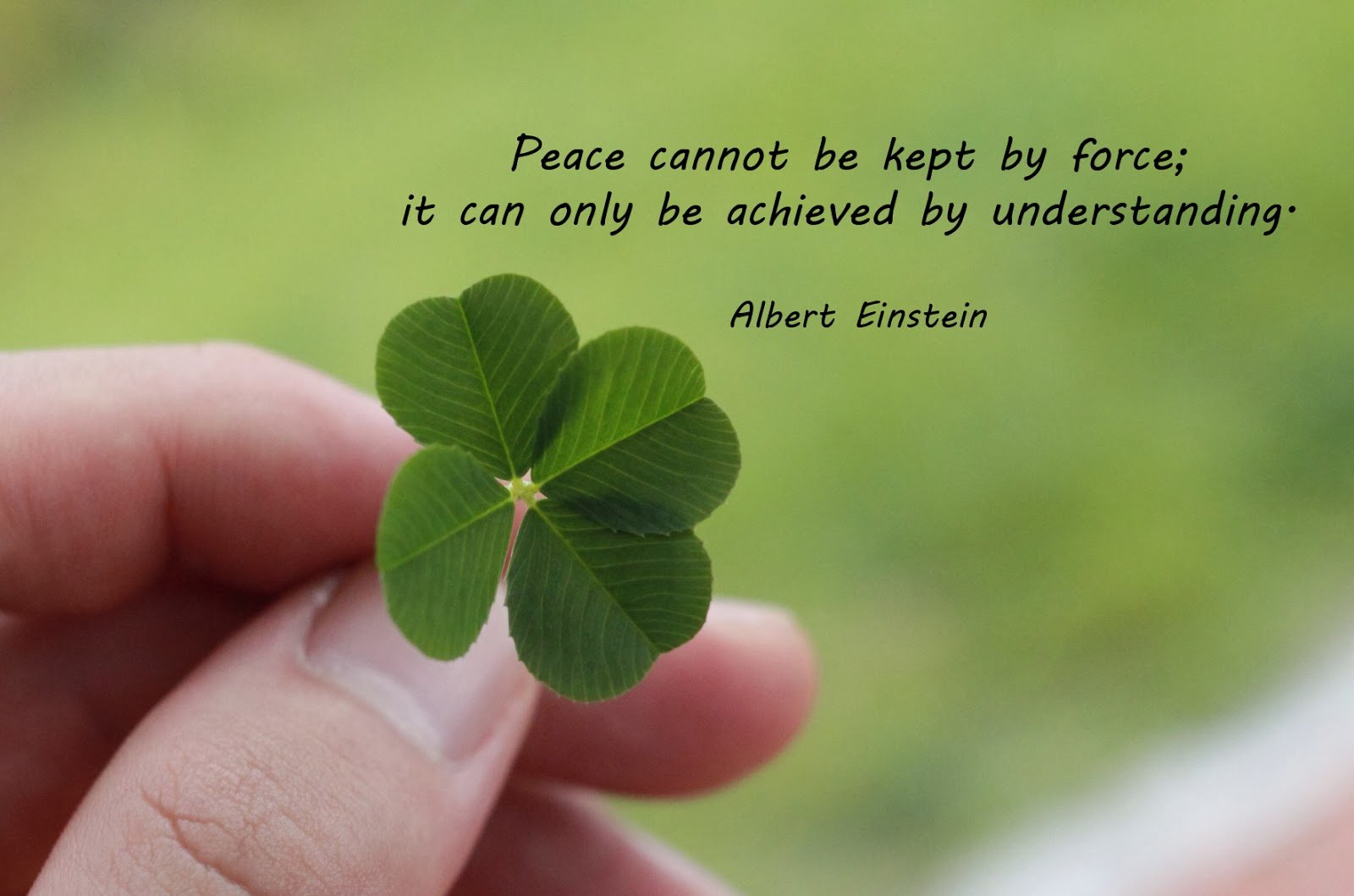 Best Quotes For Peace In The World