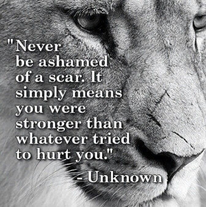 25 Best Quotes About Strength