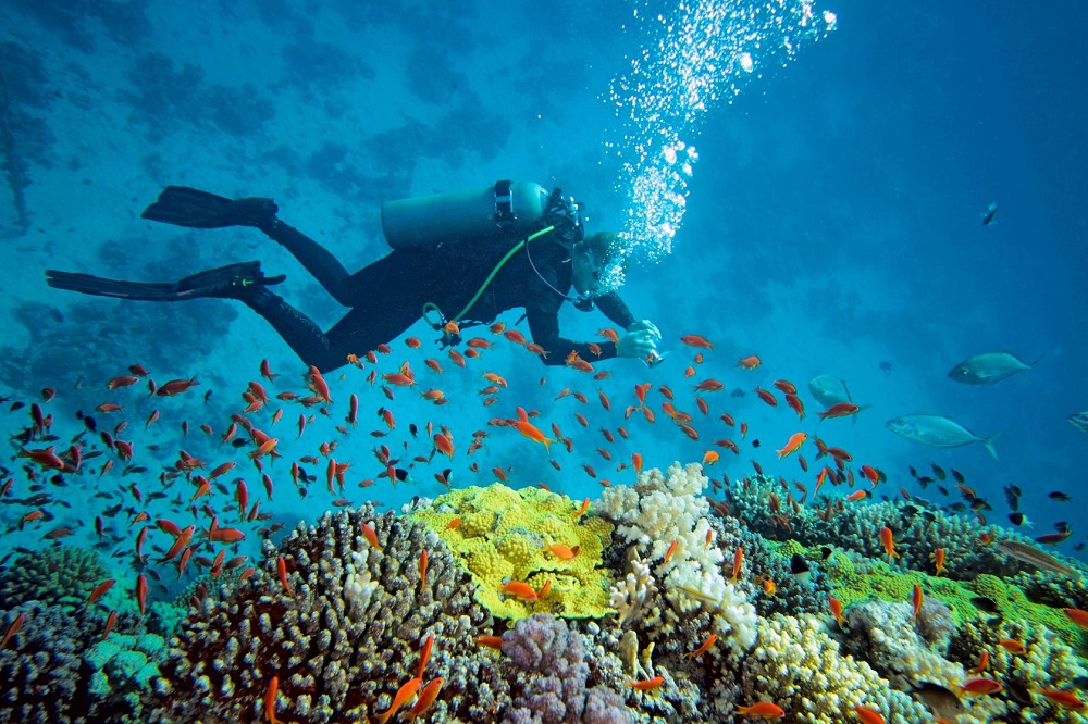 Andaman Islands, Scuba Diving Exploring the Coral Reefs