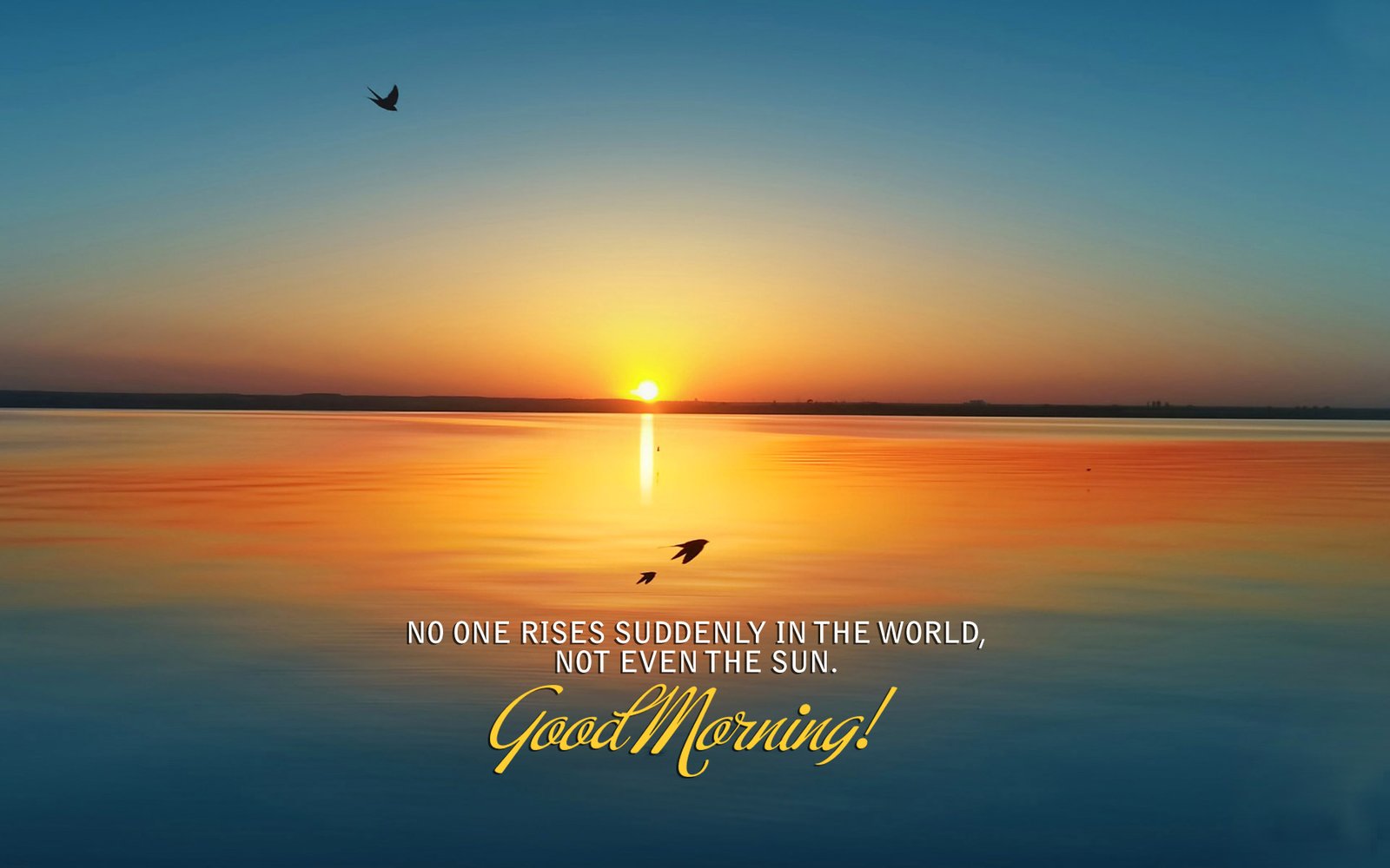 28 Best Good Morning Quotes