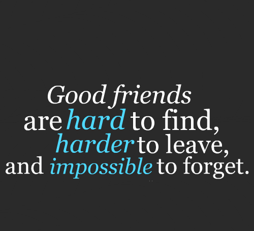 27 Best Friend Quotes with Images – The WoW Style
