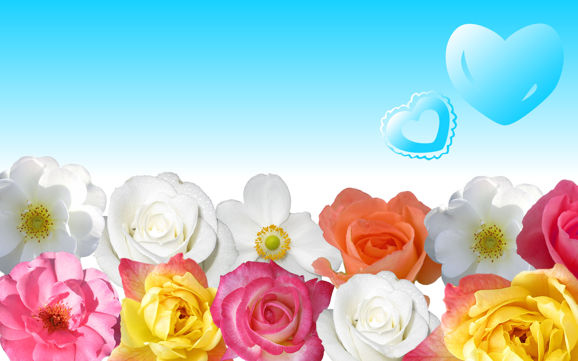 30 Beautiful Flower Wallpapers The Wow Style