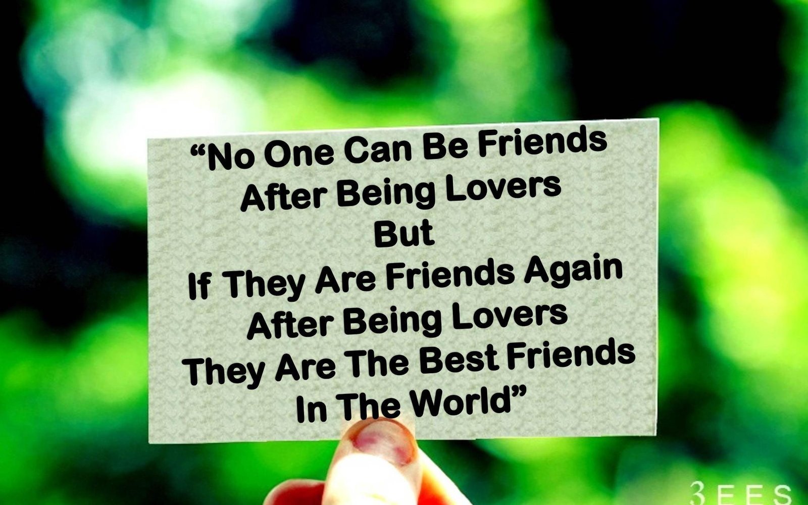 30 Best Friendship Quotes The Wow Style 1272